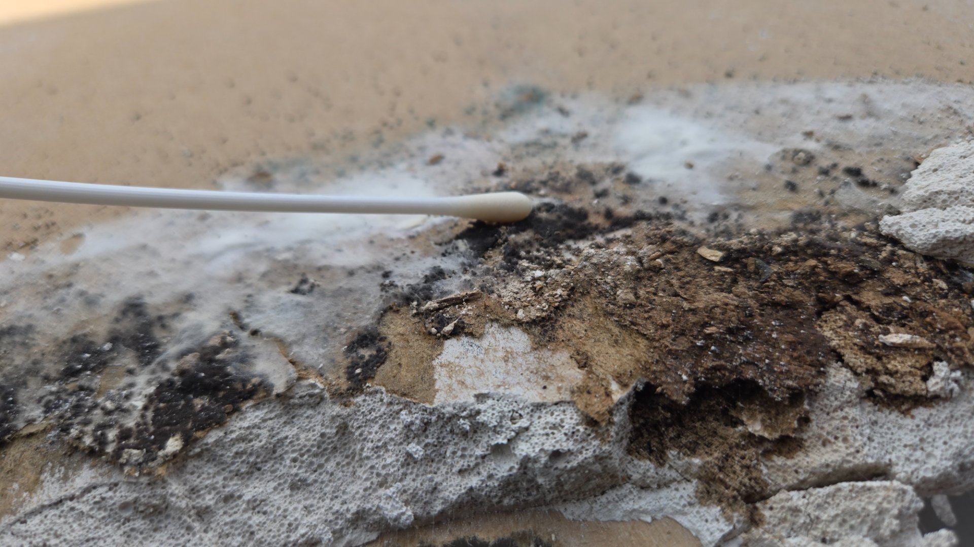 Living Room Ceiling Swab Image 1